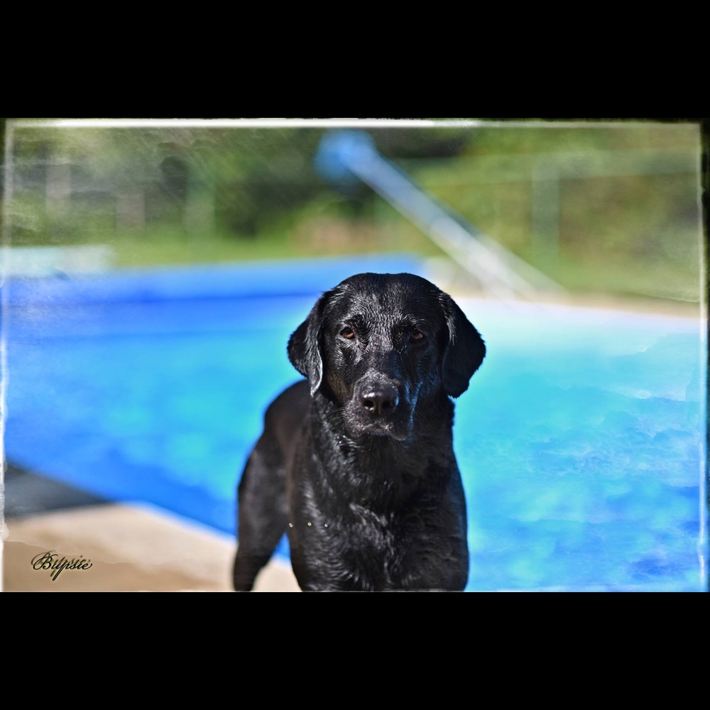 Meet your Posher, Calin